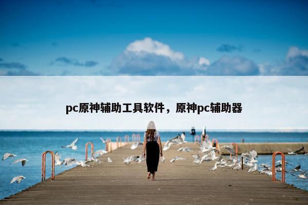 pc原神辅助工具软件，原神pc辅助器
