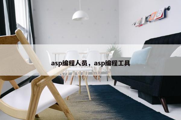 asp编程人员，asp编程工具