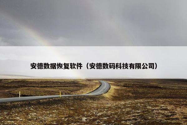 安德数据恢复软件（安德数码科技有限公司）