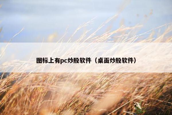 图标上有pc炒股软件（桌面炒股软件）