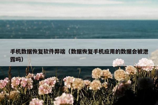 手机数据恢复软件弊端（数据恢复手机应用的数据会被泄露吗）