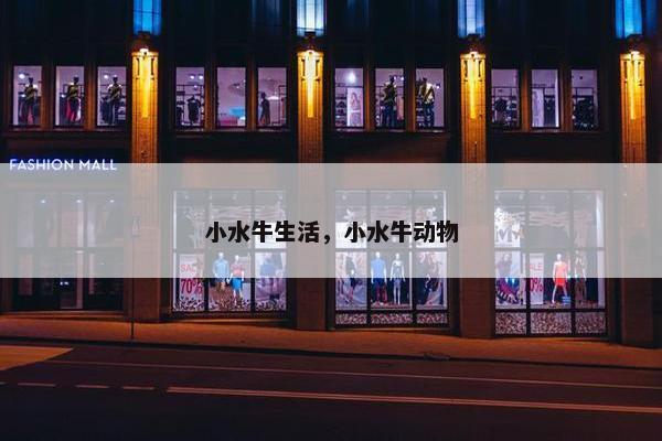 小水牛生活，小水牛动物