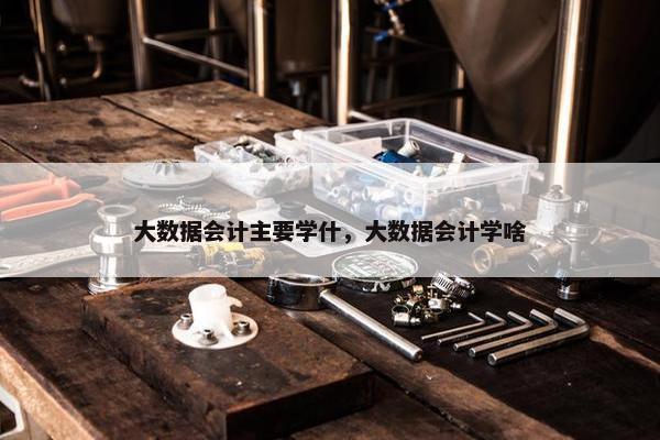 大数据会计主要学什，大数据会计学啥