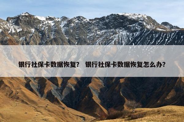 银行社保卡数据恢复？ 银行社保卡数据恢复怎么办？