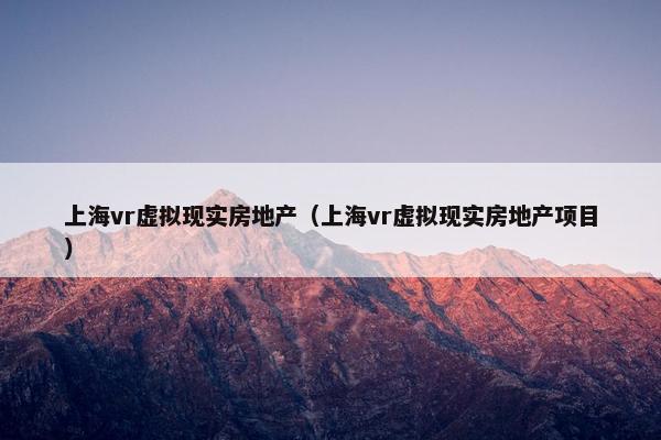上海vr虚拟现实房地产（上海vr虚拟现实房地产项目）