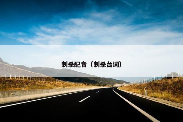 刺杀配音（刺杀台词）