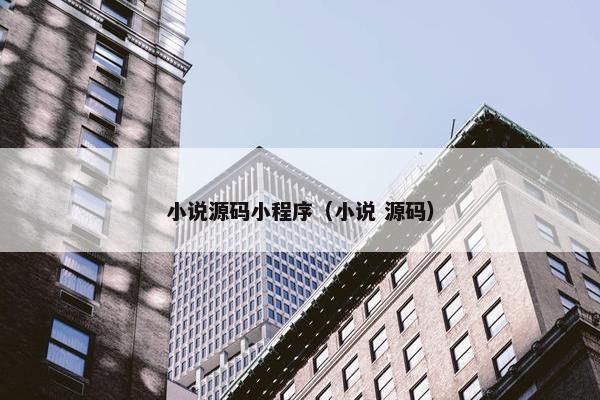 小说源码小程序（小说 源码）