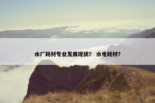水厂耗材专业发展现状？ 水电耗材？