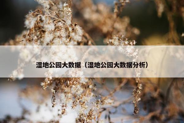 湿地公园大数据（湿地公园大数据分析）