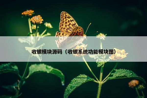 收银模块源码（收银系统功能模块图）