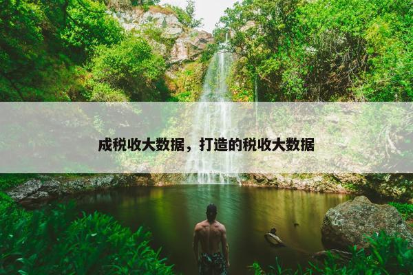 成税收大数据，打造的税收大数据