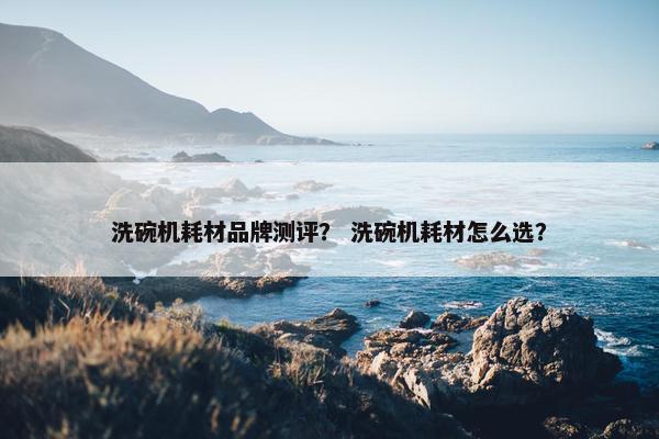 洗碗机耗材品牌测评？ 洗碗机耗材怎么选？