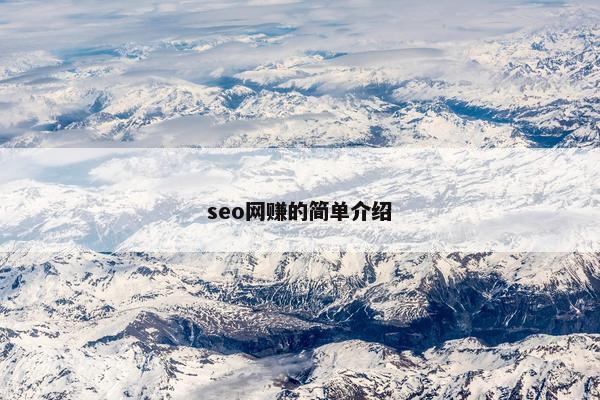 seo网赚的简单介绍