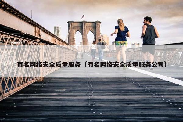 有名网络安全质量服务（有名网络安全质量服务公司）
