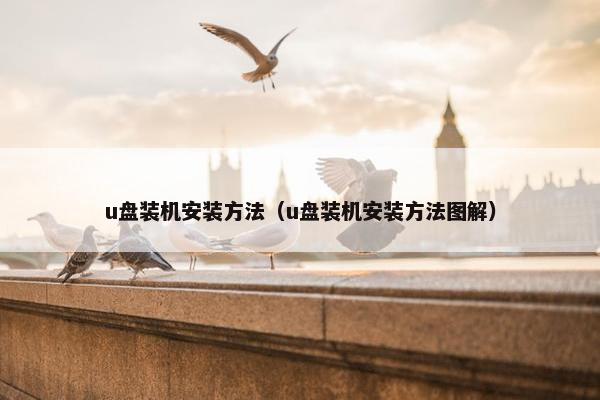 u盘装机安装方法（u盘装机安装方法图解）