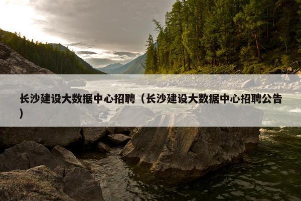 长沙建设大数据中心招聘（长沙建设大数据中心招聘公告）