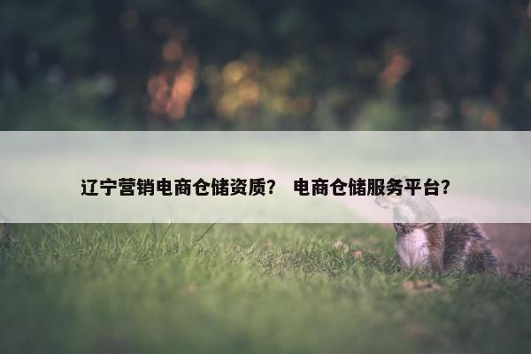 辽宁营销电商仓储资质？ 电商仓储服务平台？