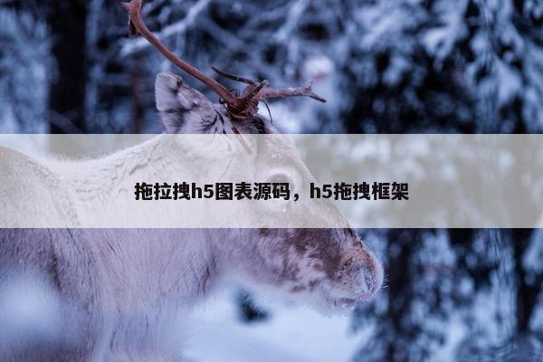拖拉拽h5图表源码，h5拖拽框架