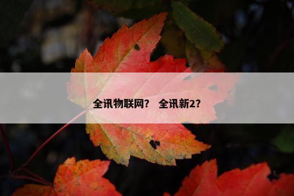 全讯物联网？ 全讯新2？