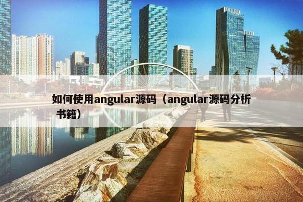 如何使用angular源码（angular源码分析 书籍）