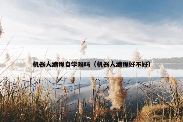 机器人编程自学难吗（机器人编程好不好）
