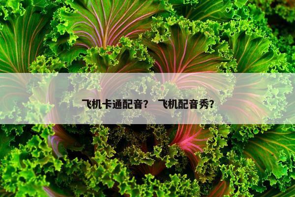 飞机卡通配音？ 飞机配音秀？