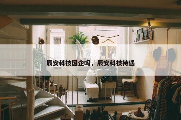 辰安科技国企吗，辰安科技待遇