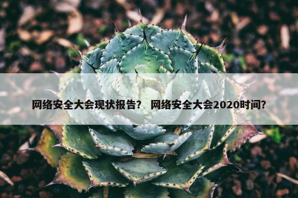 网络安全大会现状报告？ 网络安全大会2020时间？