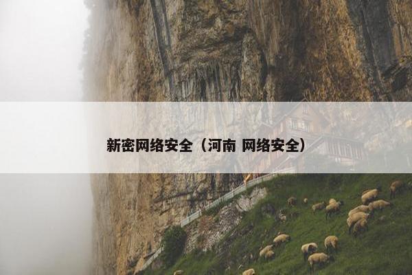 新密网络安全（河南 网络安全）
