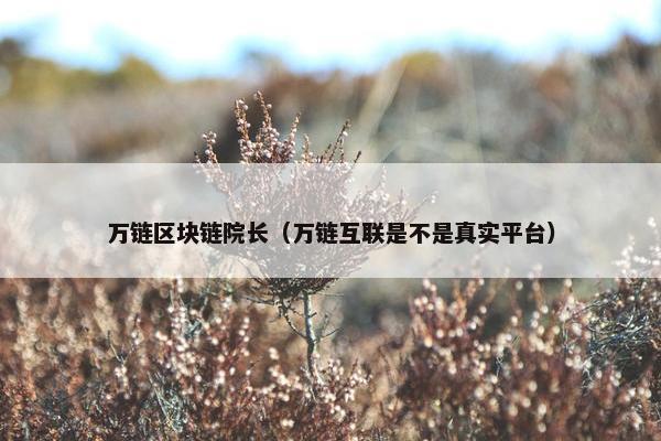 万链区块链院长（万链互联是不是真实平台）