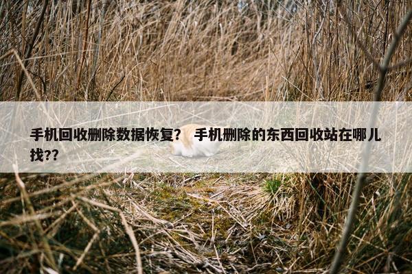 手机回收删除数据恢复？ 手机删除的东西回收站在哪儿找?？