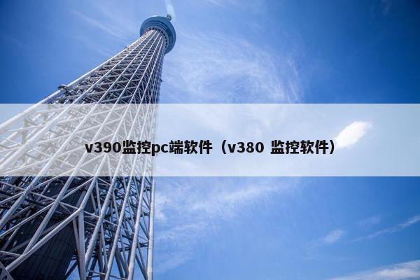 v390监控pc端软件（v380 监控软件）