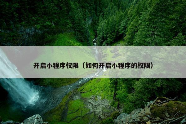 开启小程序权限（如何开启小程序的权限）