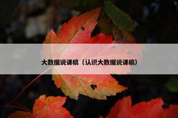 大数据说课稿（认识大数据说课稿）