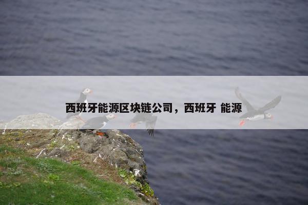 西班牙能源区块链公司，西班牙 能源