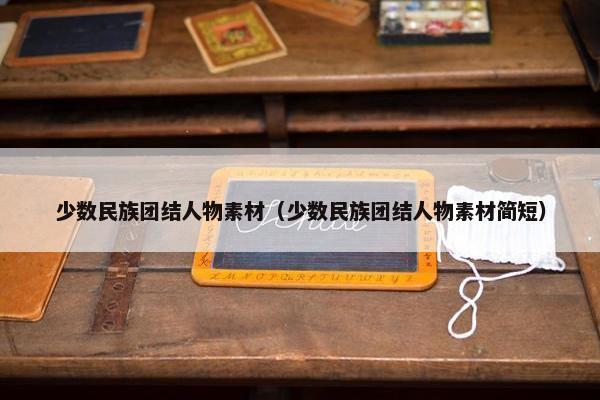 少数民族团结人物素材（少数民族团结人物素材简短）