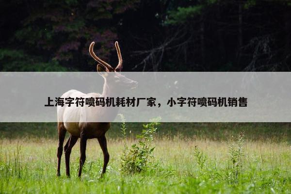 上海字符喷码机耗材厂家，小字符喷码机销售