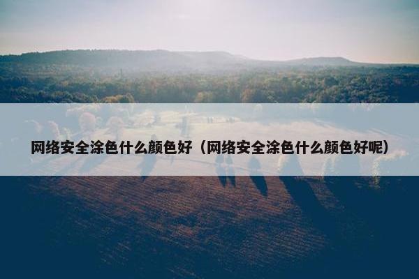 网络安全涂色什么颜色好（网络安全涂色什么颜色好呢）