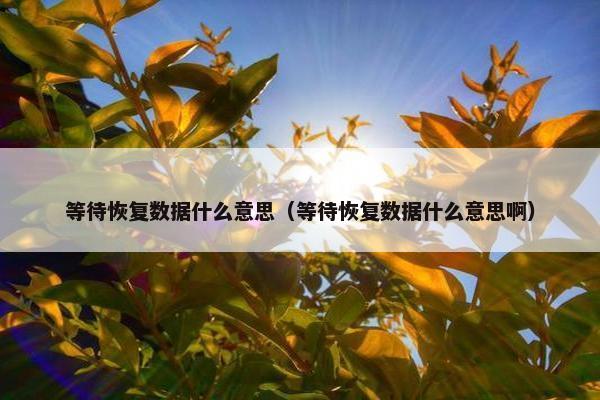 等待恢复数据什么意思（等待恢复数据什么意思啊）
