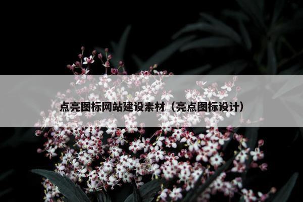 点亮图标网站建设素材（亮点图标设计）