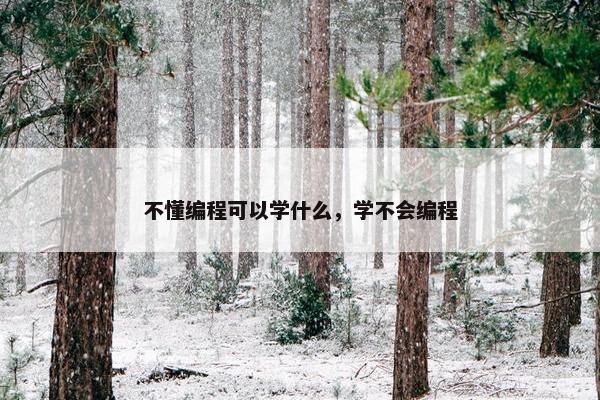 不懂编程可以学什么，学不会编程