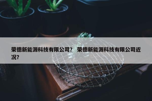 荣德新能源科技有限公司？ 荣德新能源科技有限公司近况？