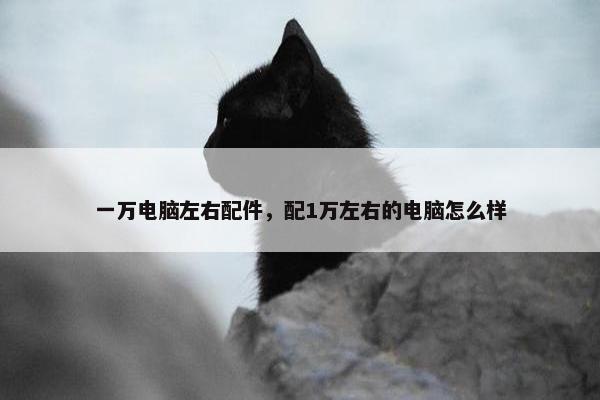 一万电脑左右配件，配1万左右的电脑怎么样