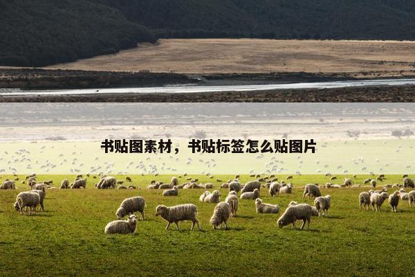 书贴图素材，书贴标签怎么贴图片