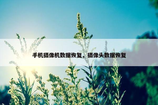 手机摄像机数据恢复，摄像头数据恢复