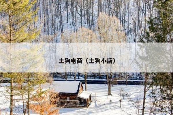 土狗电商（土狗小店）