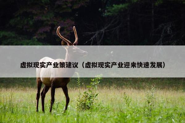 虚拟现实产业策建议（虚拟现实产业迎来快速发展）