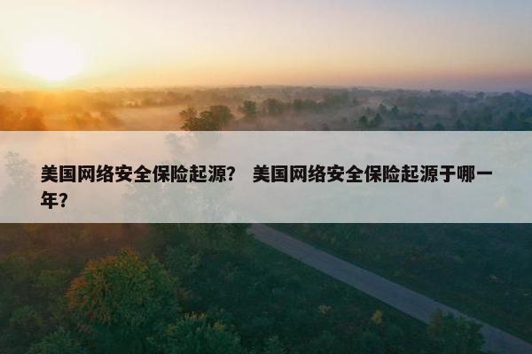 美国网络安全保险起源？ 美国网络安全保险起源于哪一年？