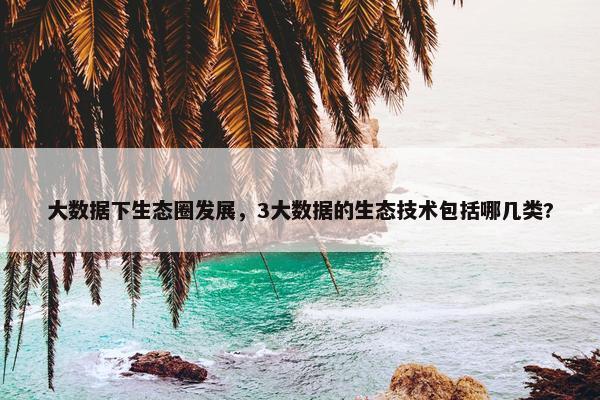 大数据下生态圈发展，3大数据的生态技术包括哪几类?