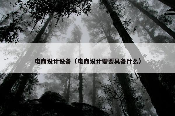 电商设计设备（电商设计需要具备什么）